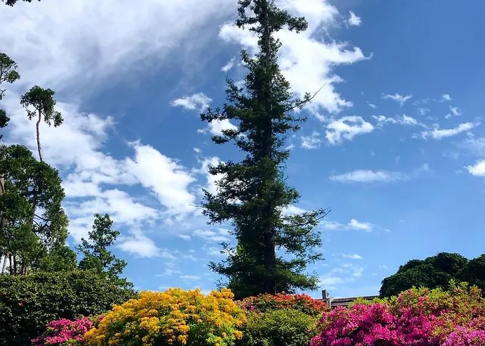 Apartament Casa Anna - Parco Hermitage *